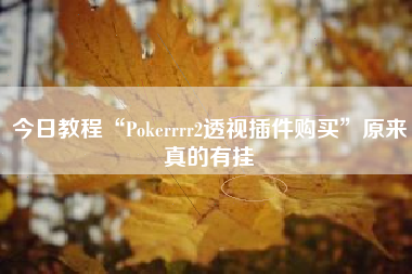 今日教程“Pokerrrr2透视插件购买”原来真的有挂