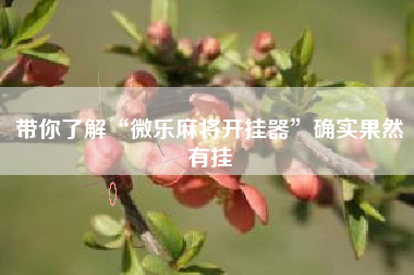 带你了解“微乐麻将开挂器”确实果然有挂