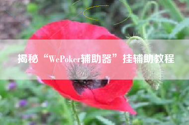 揭秘“WePoker辅助器	”挂辅助教程