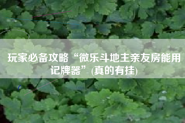 玩家必备攻略“微乐斗地主亲友房能用记牌器”(真的有挂)