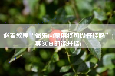 必看教程“微乐内蒙麻将可以开挂吗”(其实真的能开挂)
