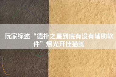 玩家综述“德扑之星到底有没有辅助软件”爆光开挂猫腻