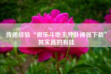 传递经验“微乐斗地主外卦神器下载	”其实真的有挂