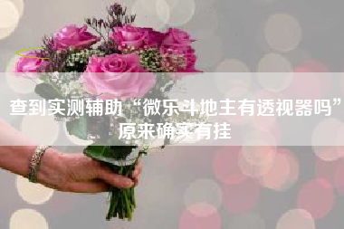 查到实测辅助“微乐斗地主有透视器吗	”原来确实有挂