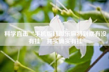 科学直击“手机版打微乐麻将到底有没有挂	”其实确实有挂