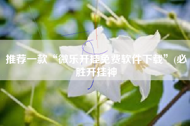 推荐一款“微乐开挂免费软件下载	”(必胜开挂神