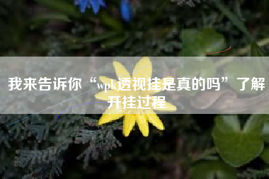 我来告诉你“wpk透视挂是真的吗”了解开挂过程