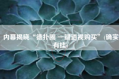 内幕揭晓“德扑圈 一键透视购买	”(确实有挂)