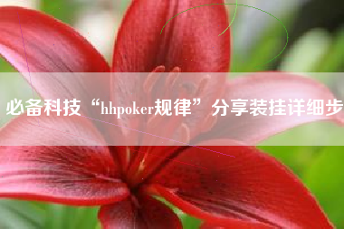 必备科技“hhpoker规律”分享装挂详细步