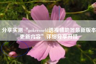 分享实测“pokerworld透视辅助器最新版本更新内容”详细分享开挂