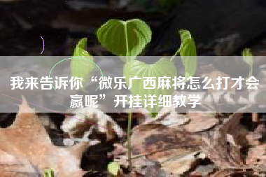 我来告诉你“微乐广西麻将怎么打才会赢呢”开挂详细教学