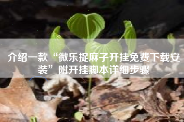 介绍一款“微乐捉麻子开挂免费下载安装”附开挂脚本详细步骤