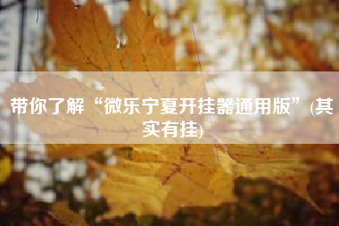 带你了解“微乐宁夏开挂器通用版”(其实有挂)