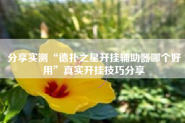 分享实测“德扑之星开挂辅助器哪个好用”真实开挂技巧分享