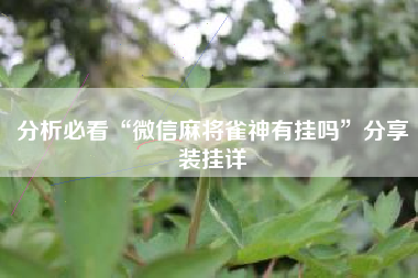 分析必看“微信麻将雀神有挂吗”分享装挂详
