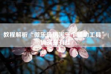 教程解析“微乐最厉害三个辅助工具	”(确实是有挂)