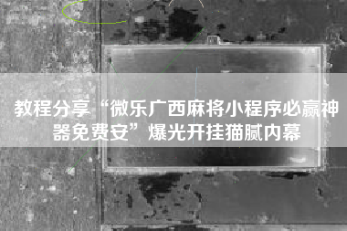 教程分享“微乐广西麻将小程序必赢神器免费安	”爆光开挂猫腻内幕