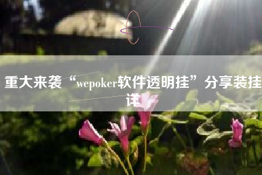 重大来袭“wepoker软件透明挂”分享装挂详