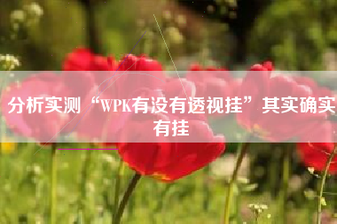 分析实测“WPK有没有透视挂	”其实确实有挂