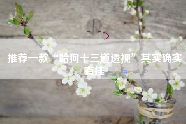 推荐一款“哈狗十三道透视	”其实确实有挂