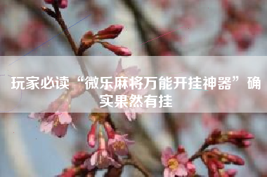 玩家必读“微乐麻将万能开挂神器”确实果然有挂