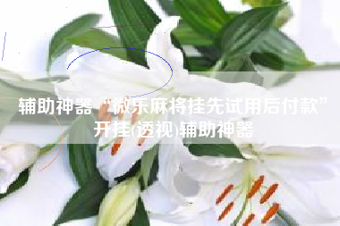 辅助神器“微乐麻将挂先试用后付款	”开挂(透视)辅助神器