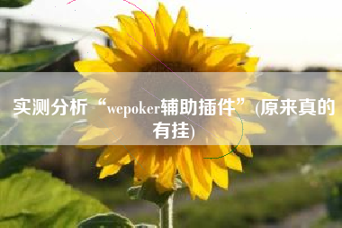 实测分析“wepoker辅助插件”(原来真的有挂)