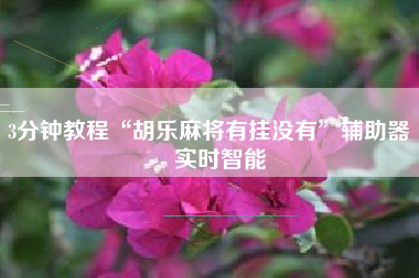 3分钟教程“胡乐麻将有挂没有”辅助器 - 实时智能