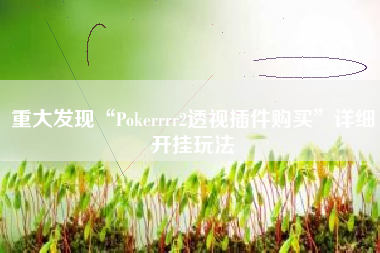 重大发现“Pokerrrr2透视插件购买”详细开挂玩法