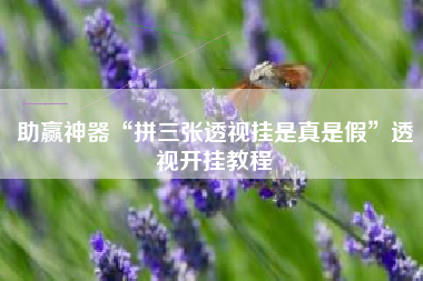 助赢神器“拼三张透视挂是真是假	”透视开挂教程