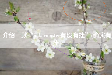 介绍一款“pokermaster有没有挂”(确实有挂)