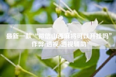 最新一款“微信山西麻将可以开挂吗”作弊(透视)透视辅助