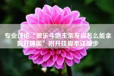 专业讨论“微乐斗地主亲友房怎么能拿到好牌呢	”附开挂脚本详细步