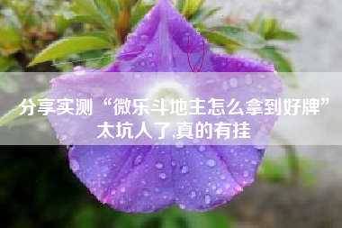 分享实测“微乐斗地主怎么拿到好牌”太坑人了,真的有挂