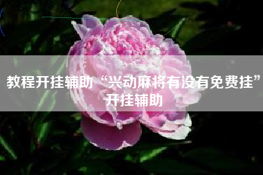 教程开挂辅助“兴动麻将有没有免费挂”开挂辅助