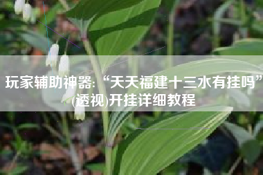 玩家辅助神器:“天天福建十三水有挂吗”(透视)开挂详细教程