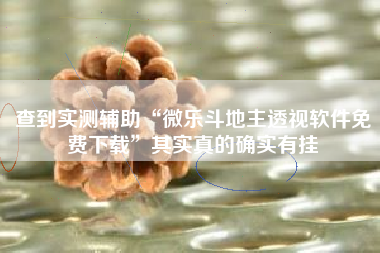 查到实测辅助“微乐斗地主透视软件免费下载	”其实真的确实有挂