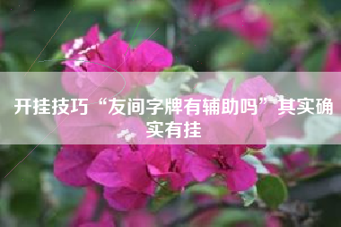 开挂技巧“友间字牌有辅助吗	”其实确实有挂