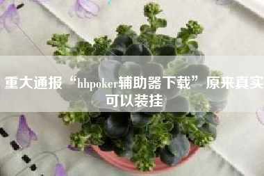 重大通报“hhpoker辅助器下载	”原来真实可以装挂