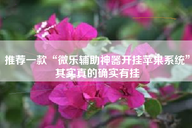 推荐一款“微乐辅助神器开挂苹果系统”其实真的确实有挂