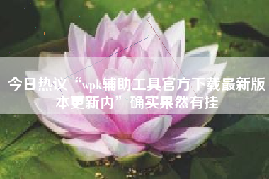 今日热议“wpk辅助工具官方下载最新版本更新内	”确实果然有挂