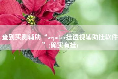 查到实测辅助“wepoker挂透视辅助挂软件”(确实有挂)