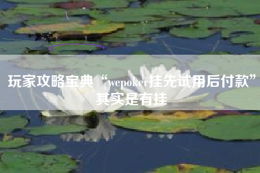 玩家攻略宝典“wepoker挂先试用后付款	”其实是有挂