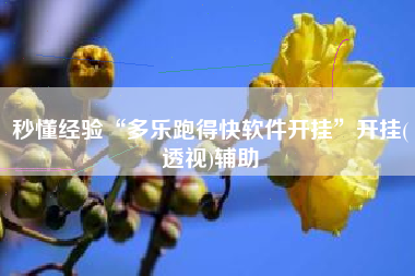 秒懂经验“多乐跑得快软件开挂”开挂(透视)辅助