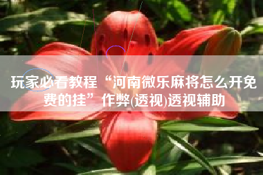 玩家必看教程“河南微乐麻将怎么开免费的挂	”作弊(透视)透视辅助