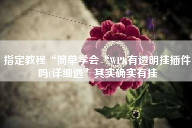 指定教程“简单学会“WPK有透明挂插件吗(详细透”其实确实有挂