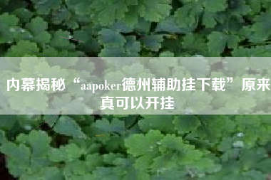 内幕揭秘“aapoker德州辅助挂下载”原来真可以开挂