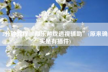 3分钟教程“微乐游戏透视辅助”(原来确实是有插件)