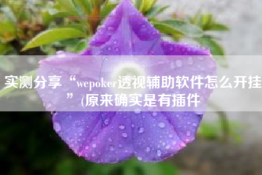实测分享“wepoker透视辅助软件怎么开挂	”(原来确实是有插件