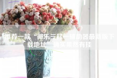 推荐一款“微乐三打一辅助器最新版下载地址”确实果然有挂